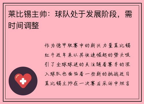 莱比锡主帅：球队处于发展阶段，需时间调整