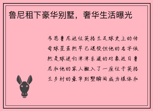 鲁尼租下豪华别墅，奢华生活曝光